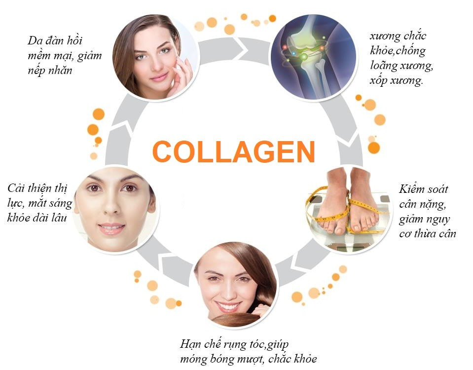 Lợi ích của Collagen Mỹ